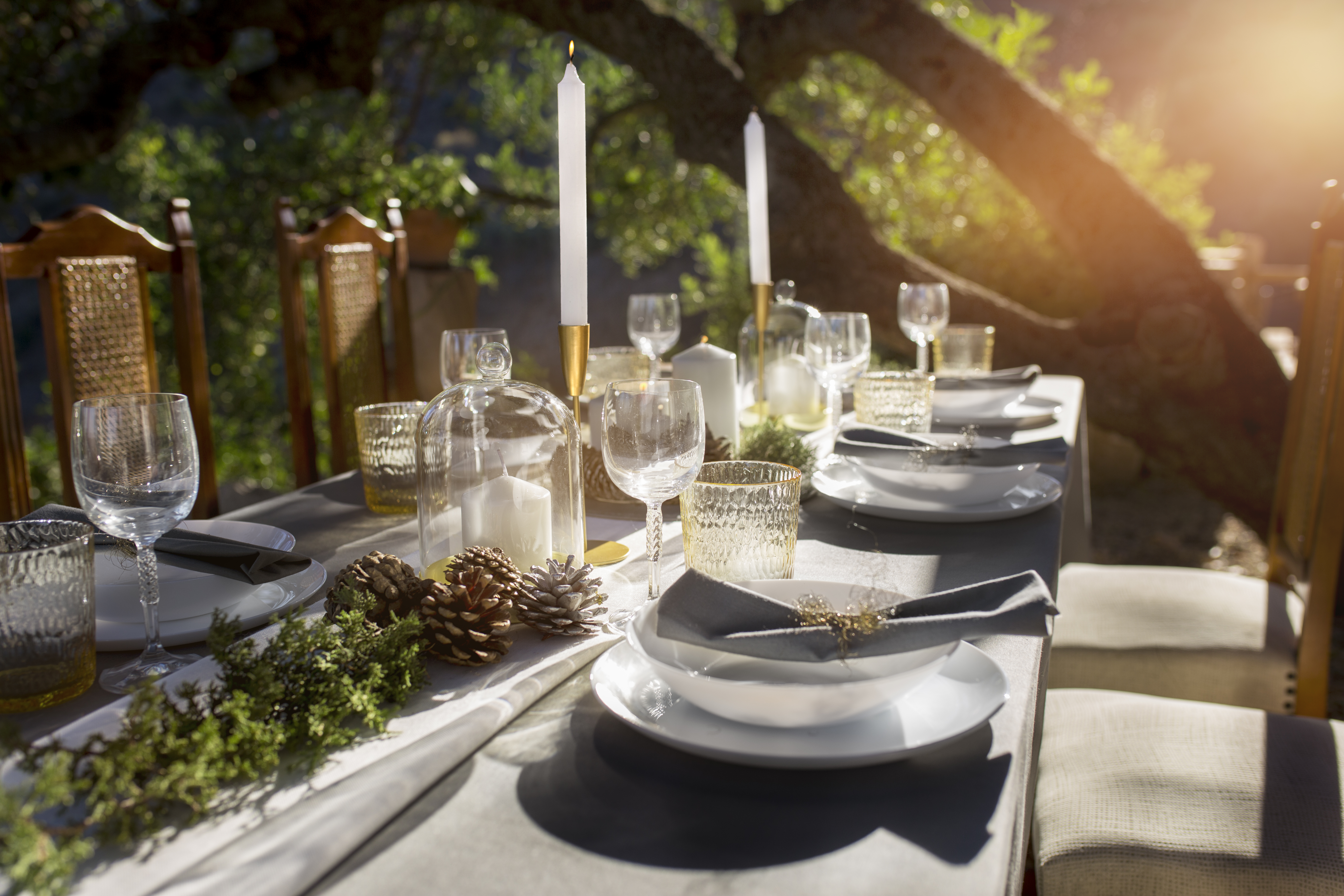 Proactive Anticipation